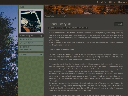 blog/diary_entry_1 screenshot