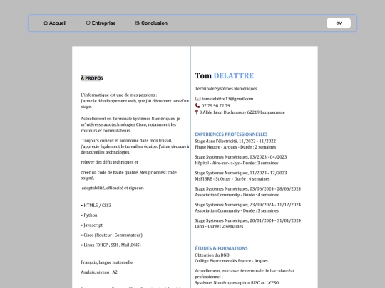 assets/html/CV screenshot