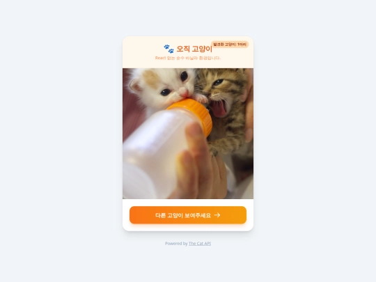 cat screenshot
