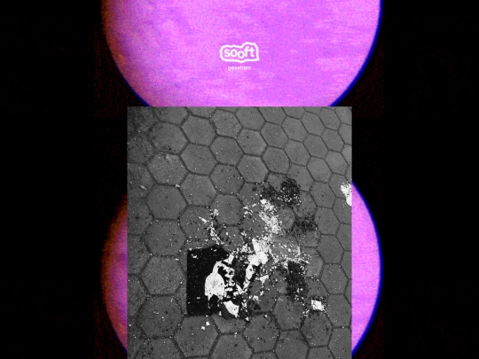 031 screenshot
