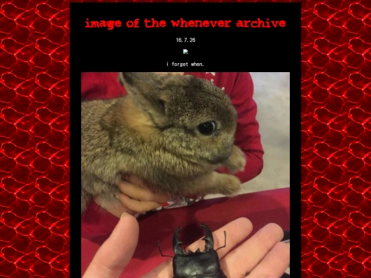 iotw screenshot