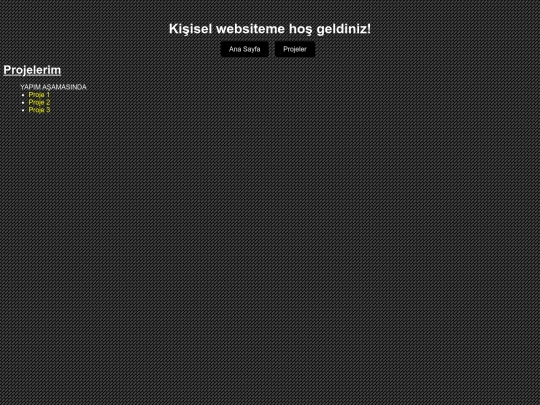 projects screenshot