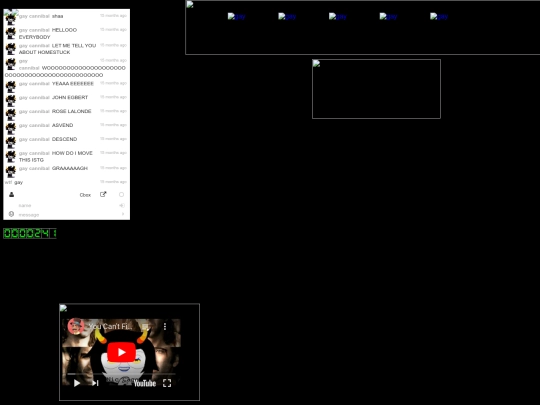 home screenshot