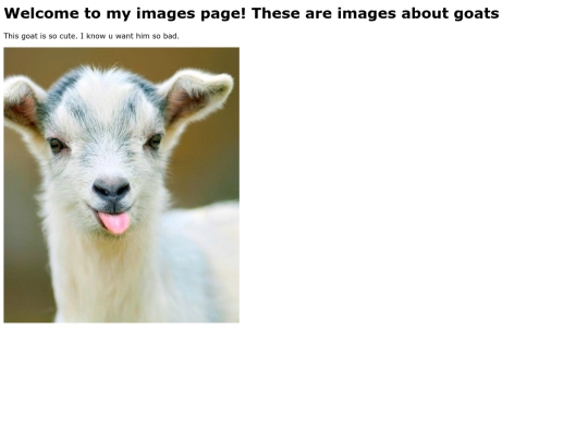 images screenshot