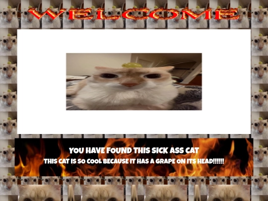 grapecat screenshot