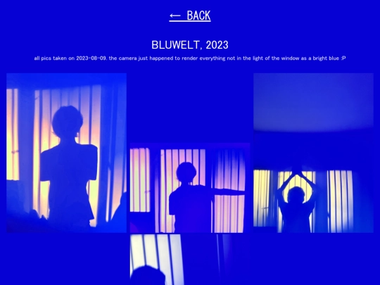 bluwelt screenshot