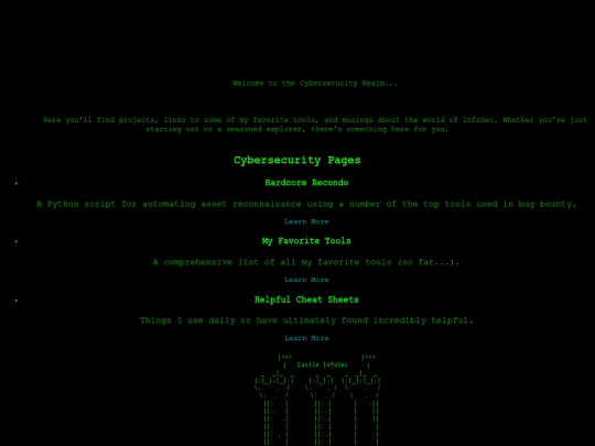 cybersecurity screenshot