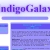 indigogalaxia.yorniq.xyz avatar