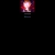 darkmocha.yorniq.xyz avatar