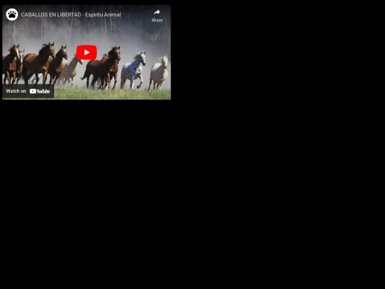 video screenshot