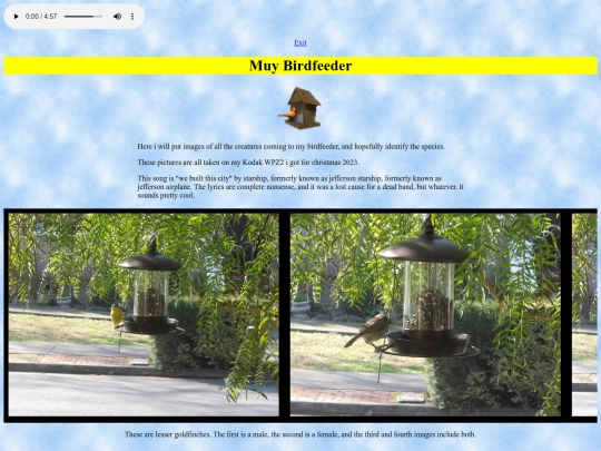 birdfeeder screenshot