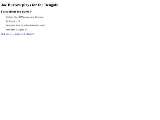 Joe burrow page 2 screenshot