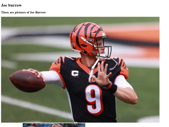 Joe burrow page 3 screenshot