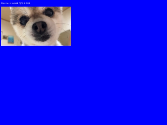 blank2 screenshot