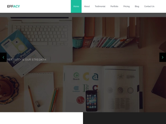 main-template/slider screenshot