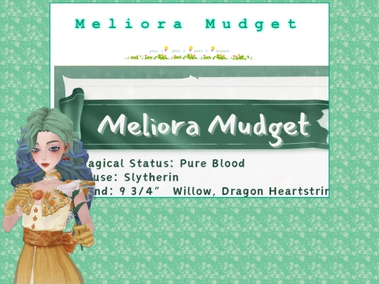 meliora screenshot