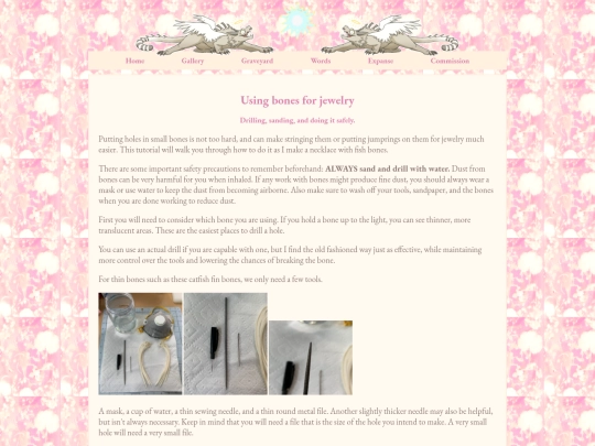 bonetutorial screenshot