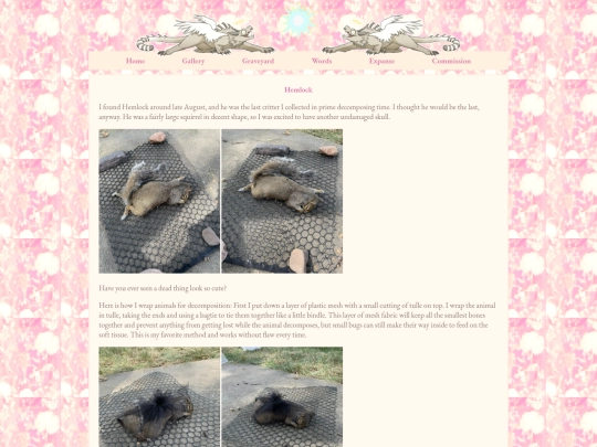 hemlocksquirrel screenshot