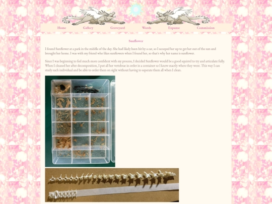 sunflowersquirrel screenshot