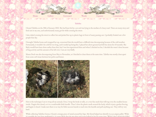 tabithacat screenshot