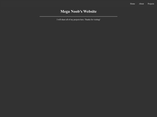 projects screenshot