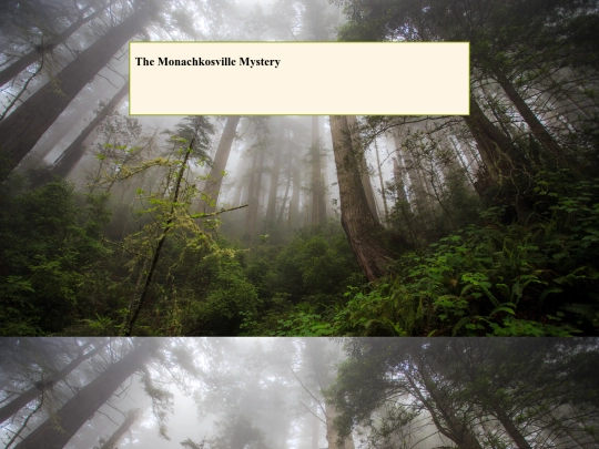 tmm/tmm5 screenshot