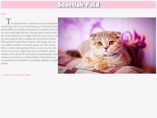 page3 screenshot