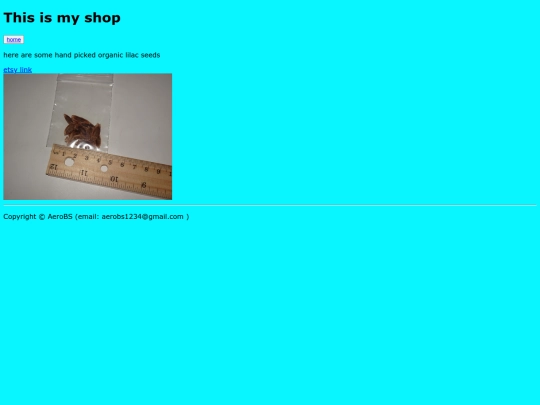 shop screenshot