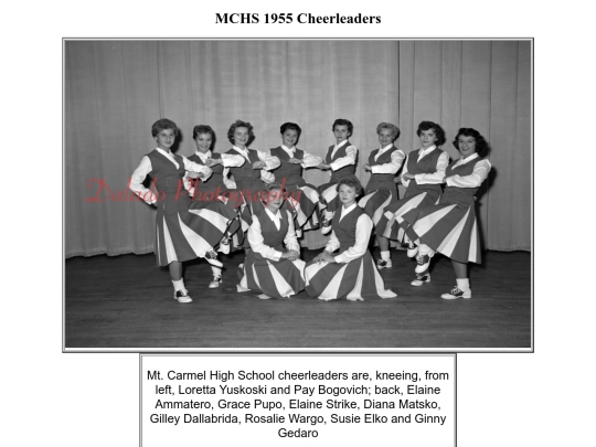 MC/Cheer screenshot