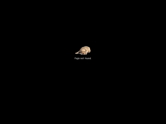 not_found screenshot