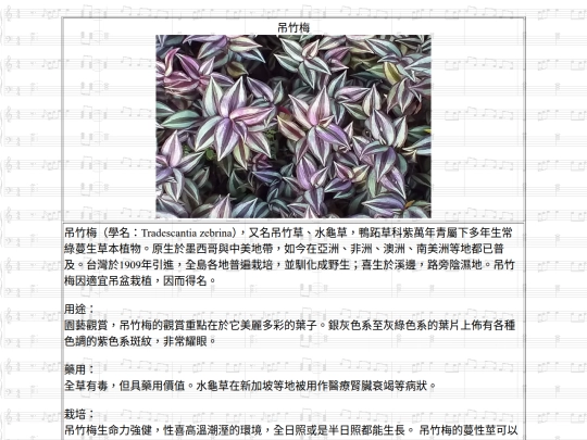 HotSpring/htm/吊竹梅 screenshot