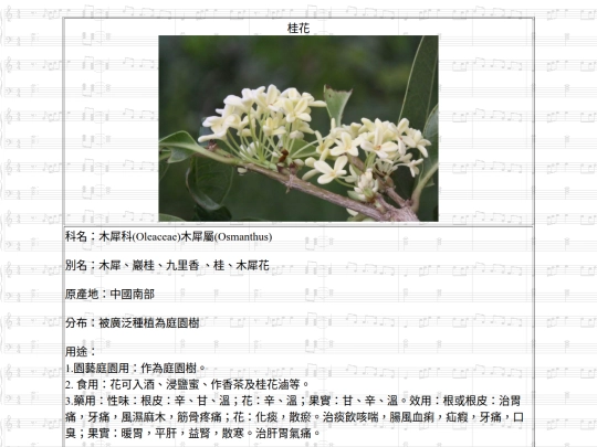 HotSpring/htm/桂花 screenshot