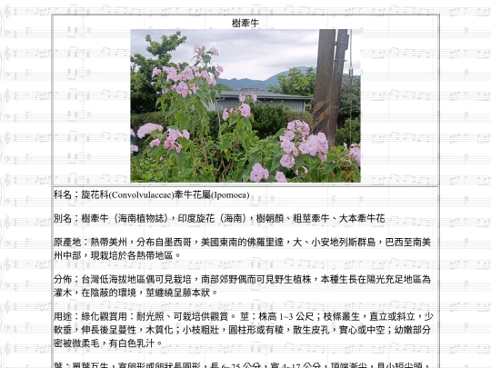 HotSpring/htm/樹牽牛 screenshot