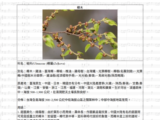 HotSpring/htm/櫸木 screenshot