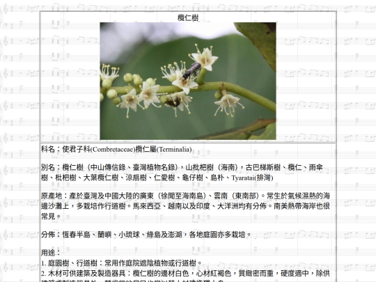 HotSpring/htm/欖仁樹 screenshot