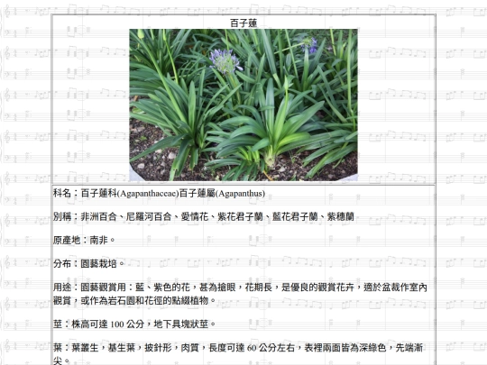 HotSpring/htm/百子蓮 screenshot