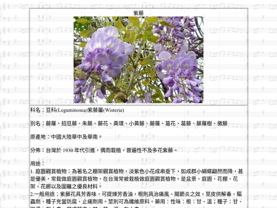 HotSpring/htm/紫藤 screenshot