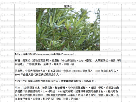 HotSpring/htm/羅漢松 screenshot