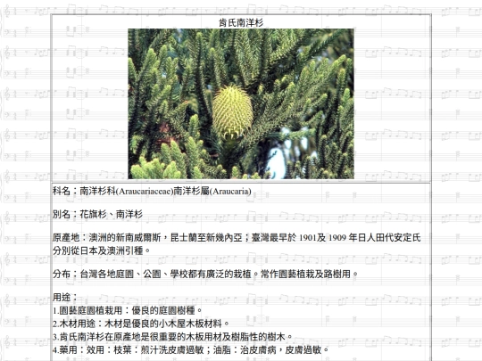 HotSpring/htm/肯氏南洋杉 screenshot