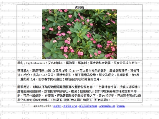 HotSpring/htm/虎刺梅 screenshot
