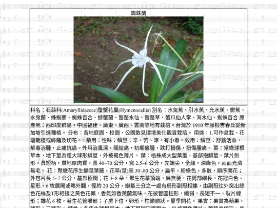 HotSpring/htm/蜘蛛蘭 screenshot