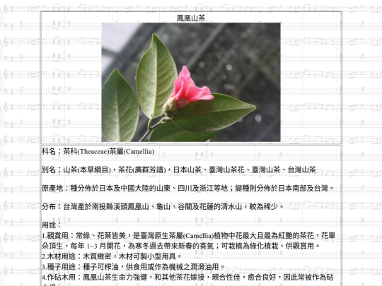 HotSpring/htm/鳳凰山茶 screenshot