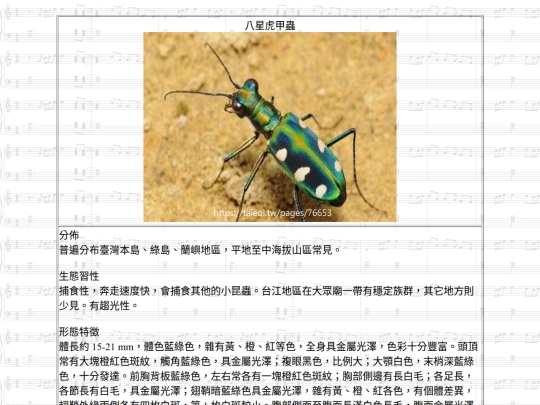Jinshan/htm/八星虎甲蟲 screenshot