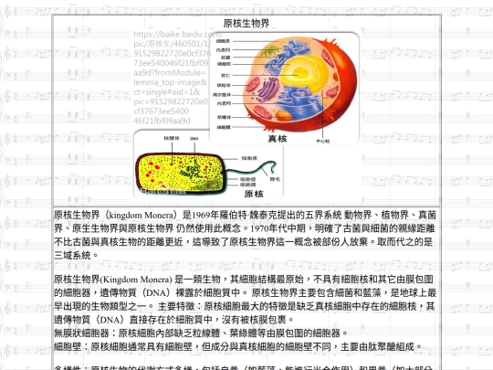 Jinshan/htm/原核生物界 screenshot