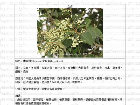 Jinshan/htm/女貞 screenshot