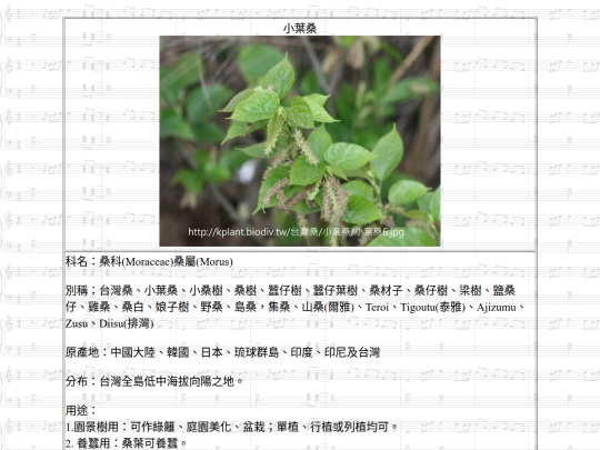 Jinshan/htm/小葉桑 screenshot