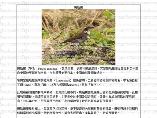 Jinshan/htm/斑點鶇 screenshot
