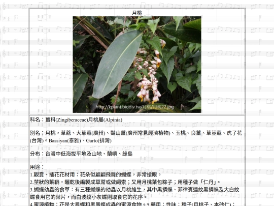 Jinshan/htm/月桃 screenshot