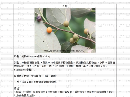 Jinshan/htm/朴樹 screenshot
