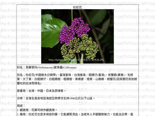 Jinshan/htm/杜虹花 screenshot